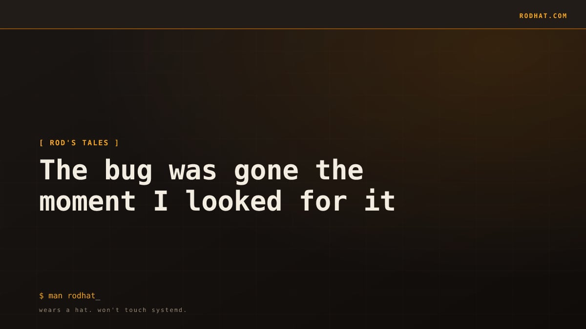 The bug was gone the moment I looked for it.